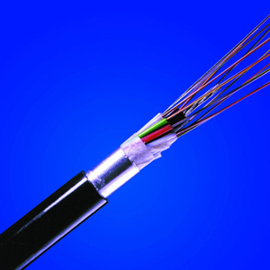 TPEE�������Ծ��������壩